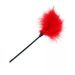 Pluma-Nican-Rojo.jpg