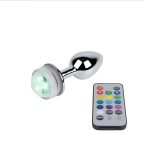 sexcomercio.com-plug-anal-luminoso.jpg